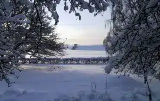 vinter