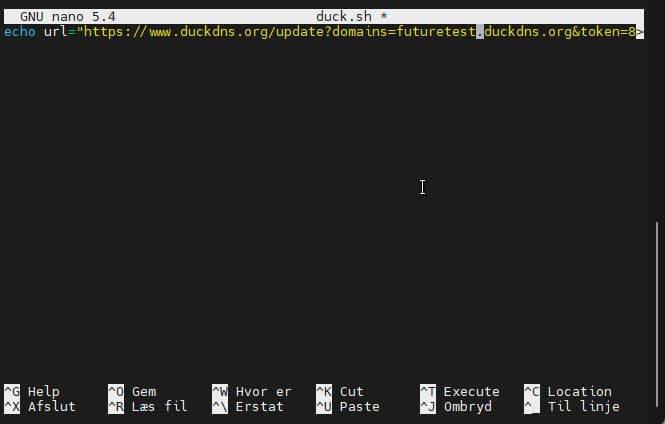 duck11 Et skærmbillede af en openvpn-konfiguration på en computer.