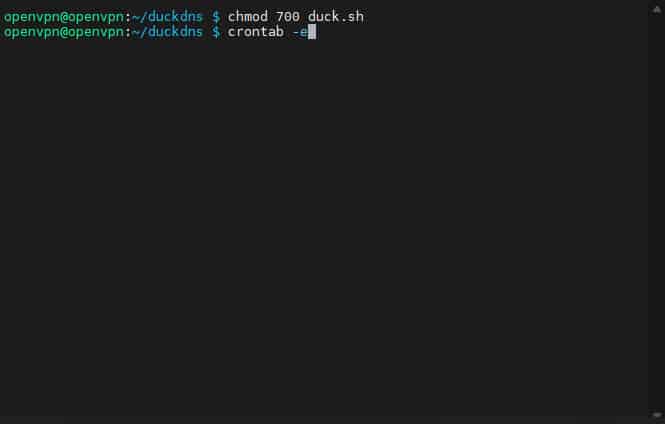 duck2 Et skærmbillede af en computer, der viser en OpenVPN-forbindelse.