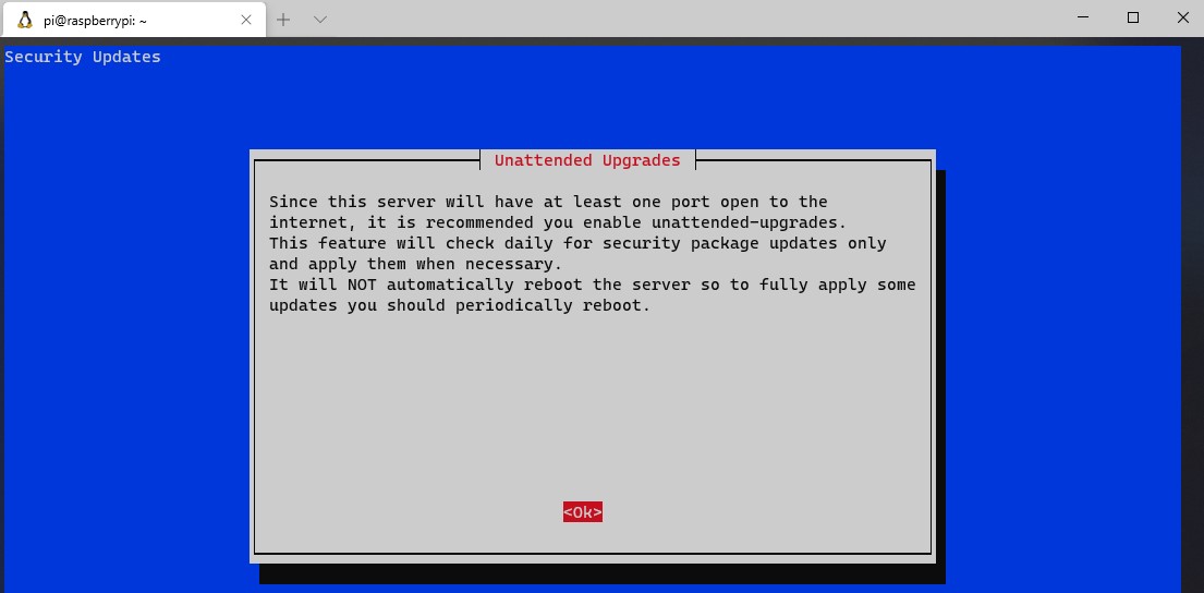 ovpn_rpi7 En computerskærm, der viser en blå og hvid besked om openvpn.