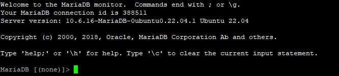 sql1 Et skærmbillede af en computerskærm, der viser en test.