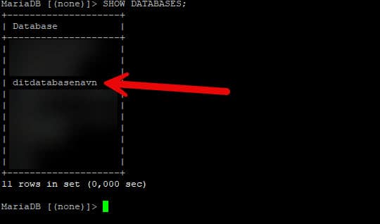 sql2 En computerskærm med en rød pil, der peger på en testdatabase.