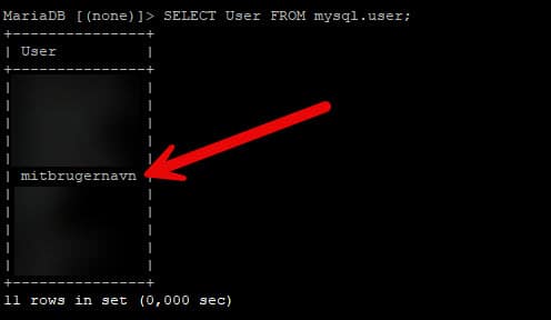 sql3 En computerskærm med en pil, der peger på en testfil.