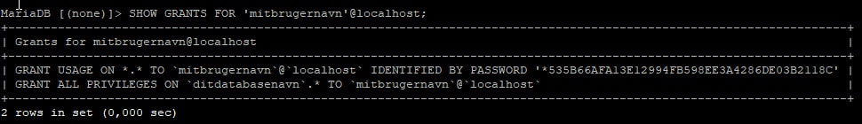 sql4 En sort skærm med tekst på "TEST".